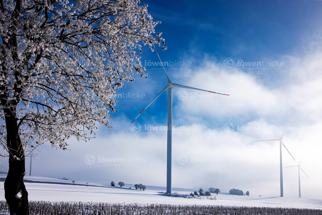 Schneelandschaft auf der Kuchalb | löwenblicke | shop