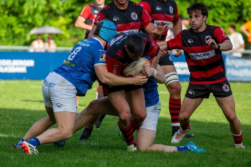 Rugby 1. Bundesliga Süd/West, Saison 2024/25, 12. Spieltag: SC Neuenheim gegen SC Frankfurt 1880 | Rugby 1. Bundesliga Süd/West, Saison 2024/25, 12. Spieltag: SC Neuenheim gegen SC Frankfurt 1880 - Realisiert mit Pictrs.com