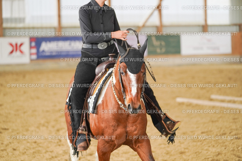 DSC04347 | Pferdegrafie