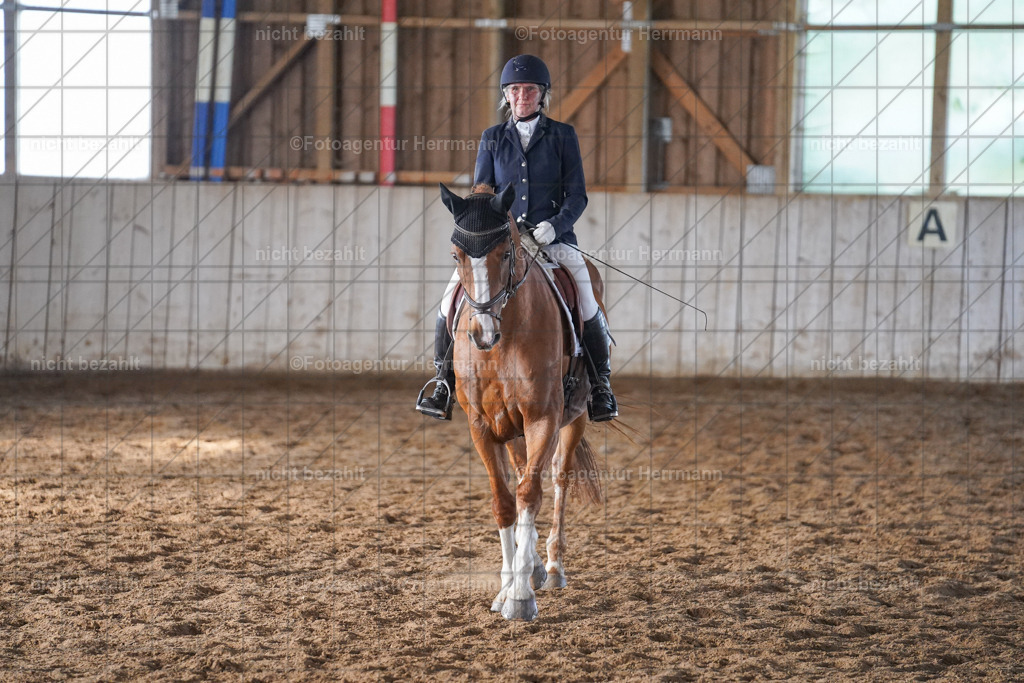 20230917-FAH09918 | Landsberg am Lech, 2023, Kaufbeuren, Kempten, Allgäu, Turnierfotografen Bayern, Fotoagentur Herrmann, Turnierbilder, Reitsport Fotos, Pferdefotograf, Augsburg, Bad Tölz, Dachau, Karlsfeld, Memmingen, Buchloe, Schwabmünchen