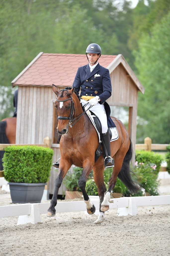 AntsBredemeier-25-38 | Der professionelle Turnierfotograf ✓ Reitsport Bilder ▷ Shop ✚ günstig & schnell ✚ mit Zugang für Redakteure
