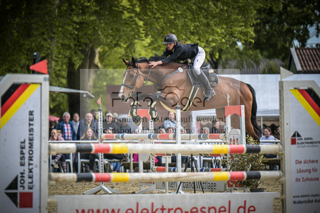 DOS_2543 | Entdecke hochwertige Reitturnierfotos von Foto Oger. Professionell, emotional und authentisch – jetzt Lieblingsmomente im Shop bestellen.Deutschlandweite Turnierfotografie. - Realisiert mit Pictrs.com