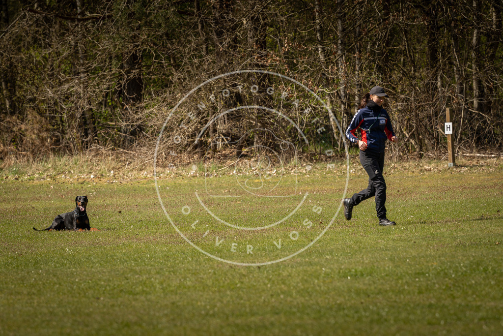 Pfotenfotografie_DV3A0790 | Hundefotografie, Tierfotograf, Pfotenfotografie, Fotoshooting Hund, Hunde Portrait, Hundesport, Hundeportraits, Heideshooting, Hunde, Sportfotograf, Hundefotograf, Turnierhundsport, THS,  - Realisiert mit Pictrs.com