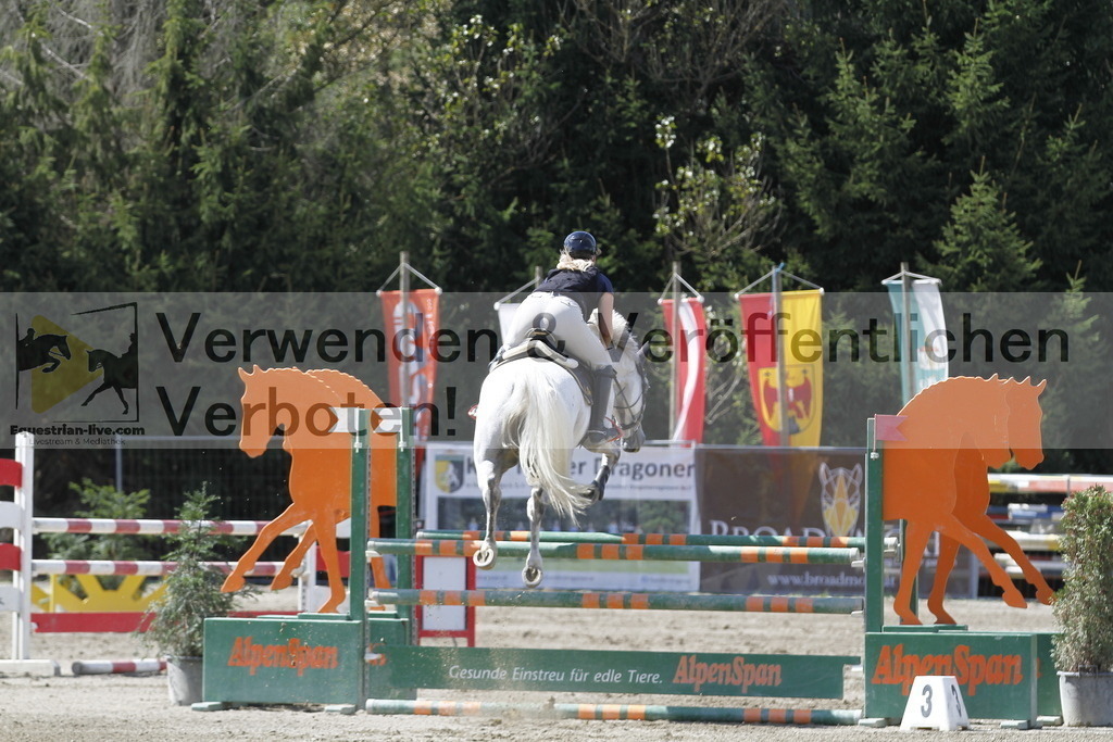 _MG_6524 | equestrian-live-com