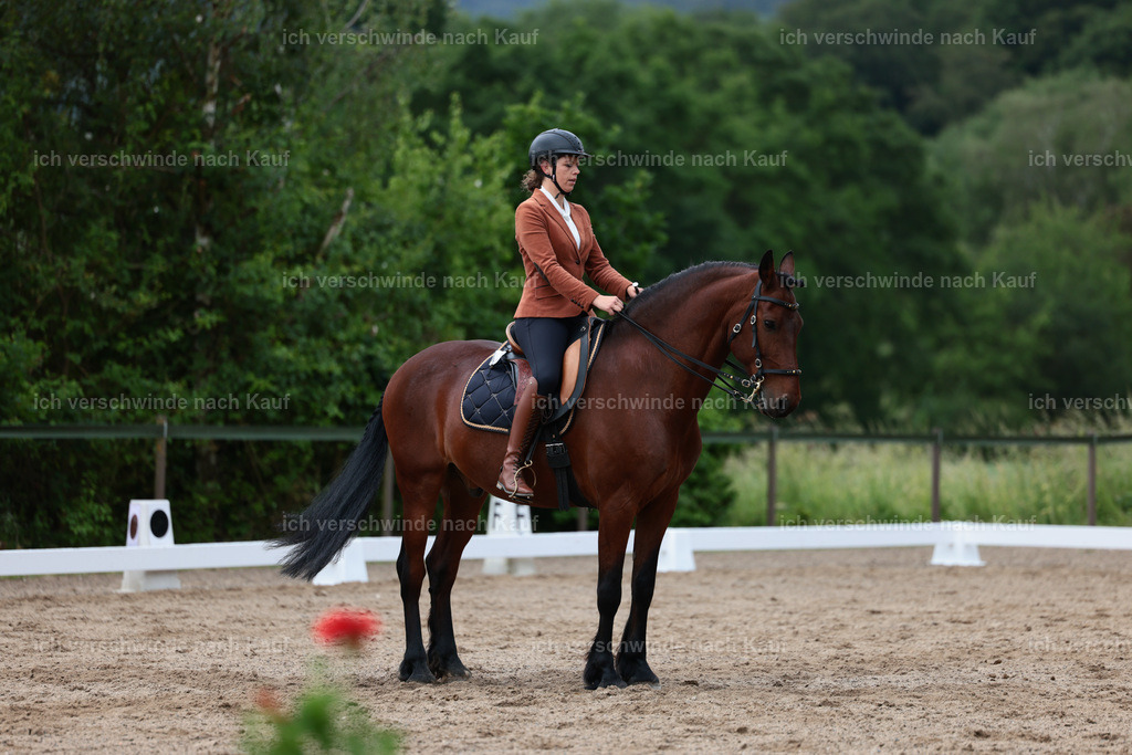 KlasseL_Stoibphotography_CAM21370.JPG | working equitationturnier fotograf videograf stoibphotography marixx film working equitation deutschland reitsport turnierfotografie eventfotografie equestrian events