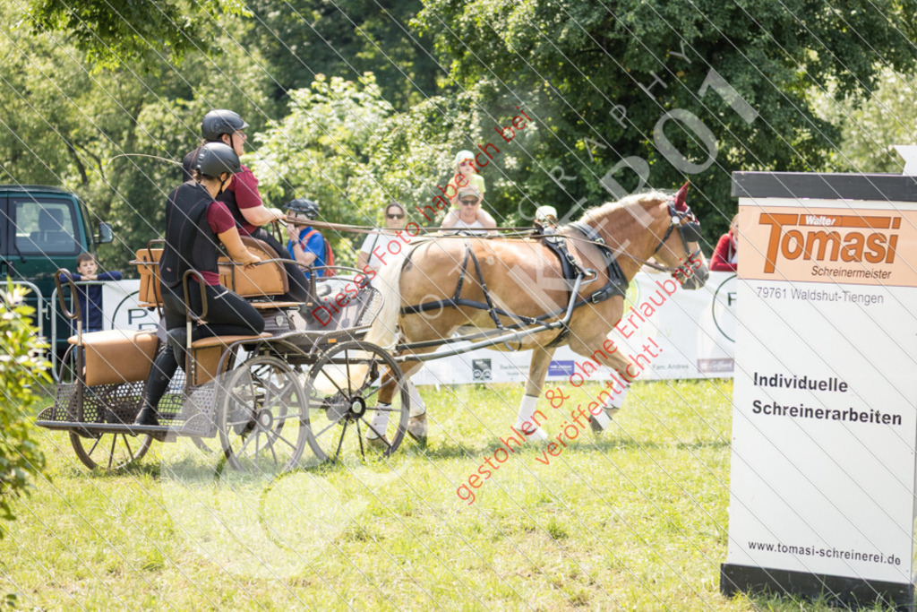 IMG_8054 | Sport-, Event- und Tierfotos in Profiqualität. Einfach auswählen, bestellen und herunterladen. Dein Moment – perfekt festgehalten.