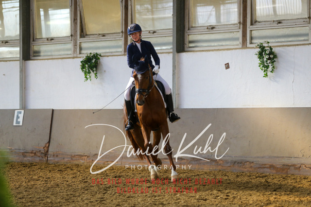 IMG_2333 | Turniersportfotografie; Pferdefotografie; Dressurfotografie