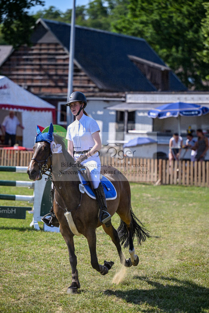 Reitturnier Voxtrup | Entdecke hochwertige Reitturnierfotos von Foto Oger. Professionell, emotional und authentisch – jetzt Lieblingsmomente im Shop bestellen. - Realisiert mit Pictrs.com
