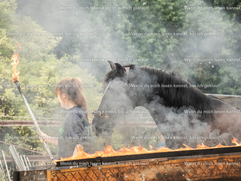 598A7850 | photographylinaismer - Realisiert mit Pictrs.com