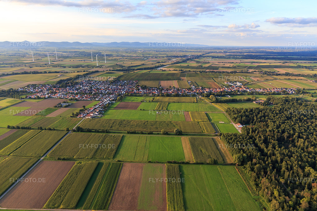 Luftbild: Ortsansicht von Süden in Freckenfeld im Bundesland Rheinland-Pfalz in Deutschland. Foto: IMG_129354.jpg vom 12.09.2021 durch Werner Riehm/FLY-FOTO.de