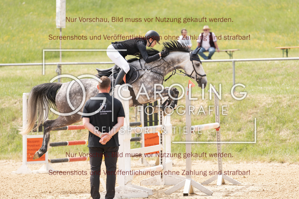 DSC06631 | Springturnier_Ehingen_Mai_2026, Anika_Ramminger, Hakuna_Matata_32