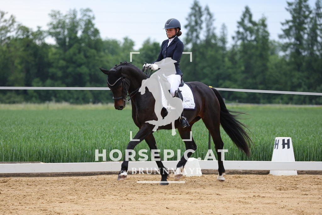 0P6A4701 | Willkommen bei Brunnmayr - Design & Fotografie – Ihrem Spezialisten für Reitturniere und Pferdeveranstaltungen in Oberösterreich, Salzburg und Bayern! Seit über 17 Jahren sind wir leidenschaftlich dabei.