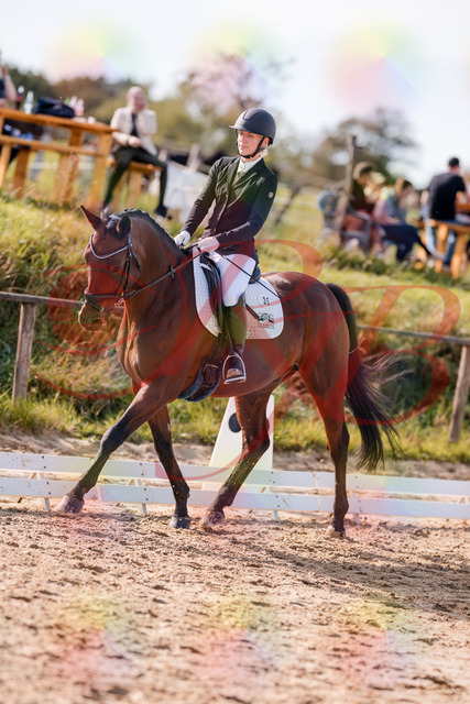 2026_10_03_Siefer-Hof_130901_Z81_62758416 | Professionelle Reitsport-, Turnier- und Eventfotografie von Robert Broda. Galerien mit ausgewählten und bearbeiteten Bildern direkt online ansehen und bestellen.