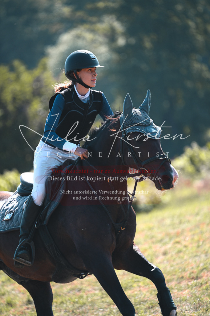 DSC_7950 | Pferde- und Turnierfotografie in Westsachsen. Pferdeportraits, Auftragszeichnungen und intuitive Kunst.