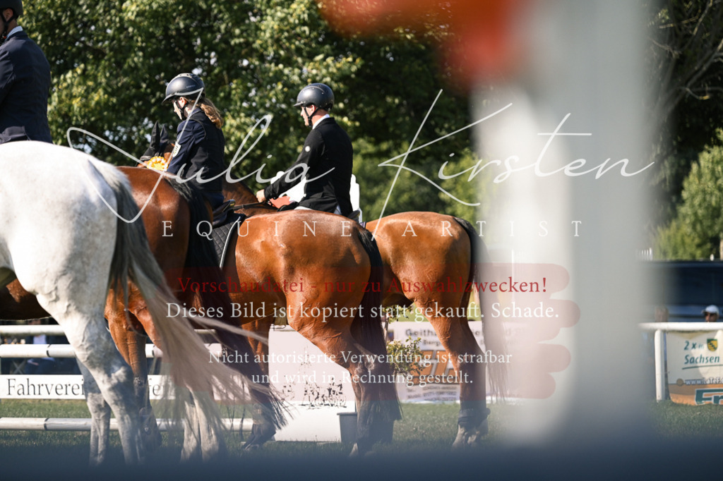 DSC_1556 | Pferde- und Turnierfotografie in Westsachsen. Pferdeportraits, Auftragszeichnungen und intuitive Kunst.