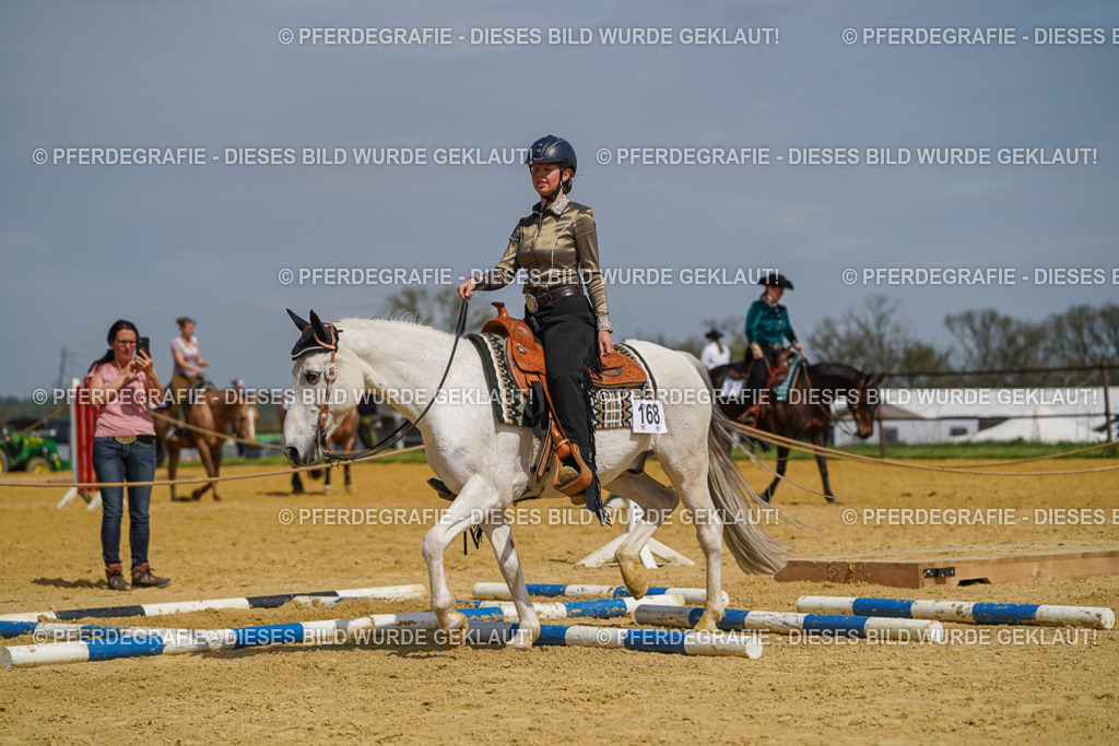 DSC04783 | Pferdegrafie