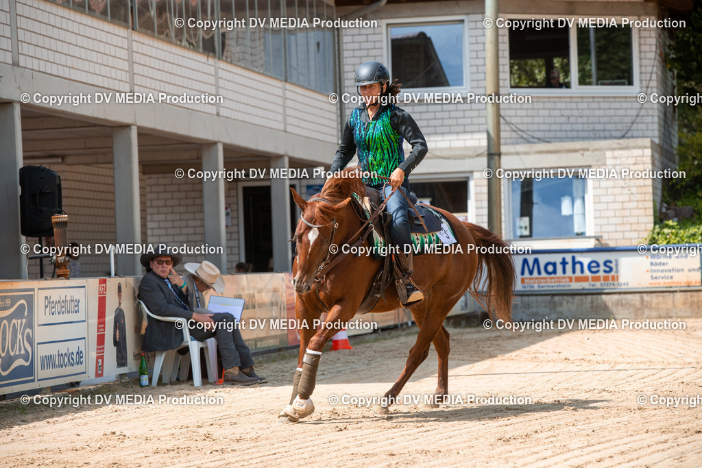 ZS3_9587 | dv-media-shop - Realisiert mit Pictrs.com