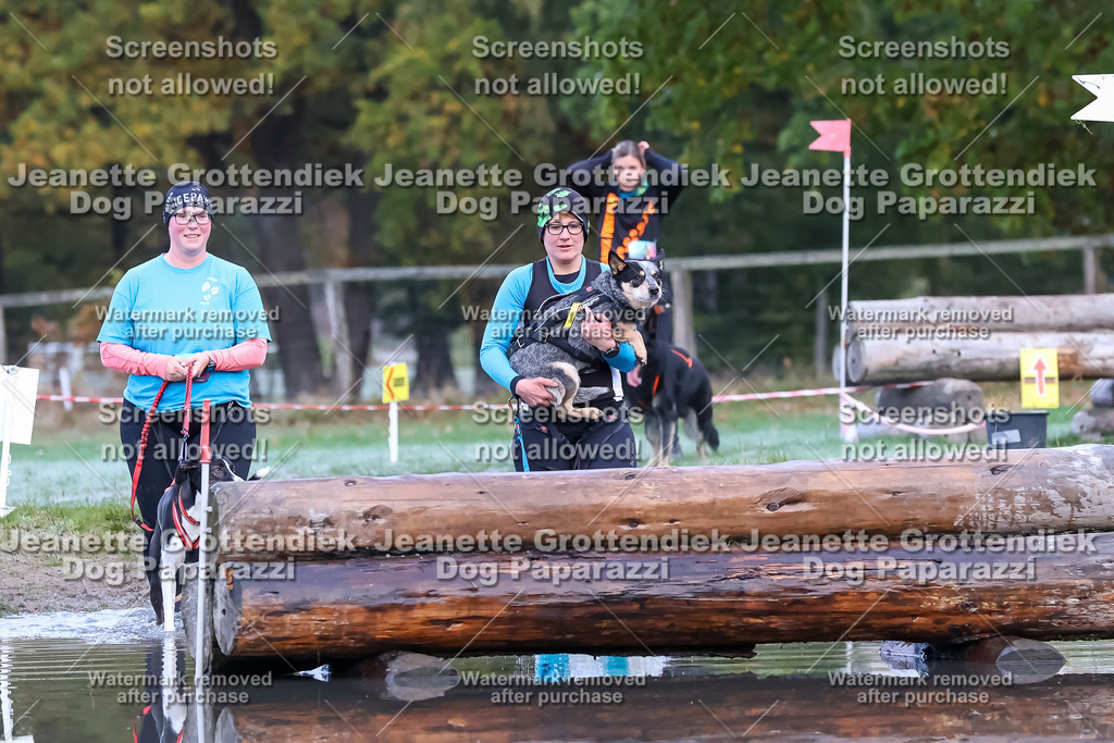 Dog Paparazzi - Strongdog 10-25-6244 | Dog Paparazzi Jeanette Grottendiek Fotografie & Videografie - Realisiert mit Pictrs.com