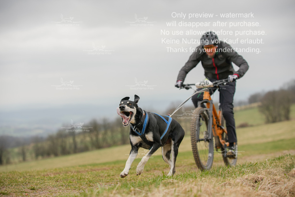 BikeSA-143 | stephaniefillaphotographie - Realisiert mit Pictrs.com