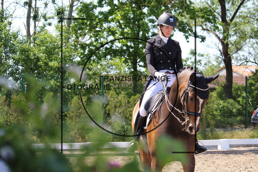 IMG_4793 | franziskalange - Realisiert mit Pictrs.com