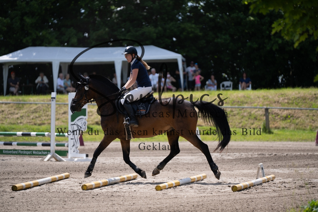 A7V03042 | Pferdefotograf