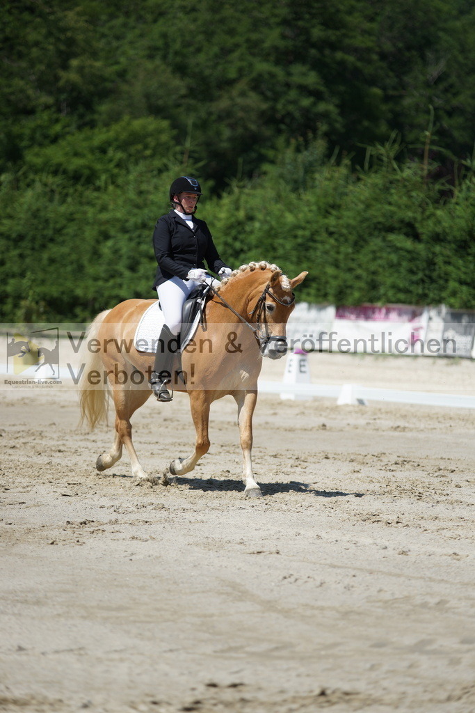 DSC03260 | equestrian-live-com