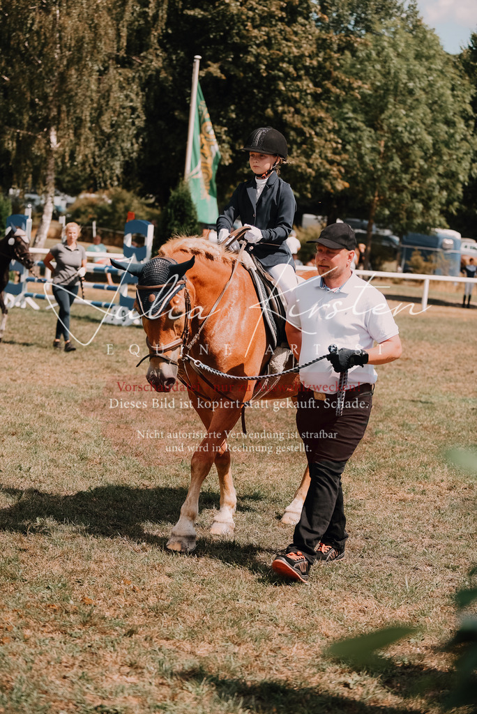 DSC_6221 | Pferde- und Turnierfotografie in Westsachsen. Pferdeportraits, Auftragszeichnungen und intuitive Kunst.
