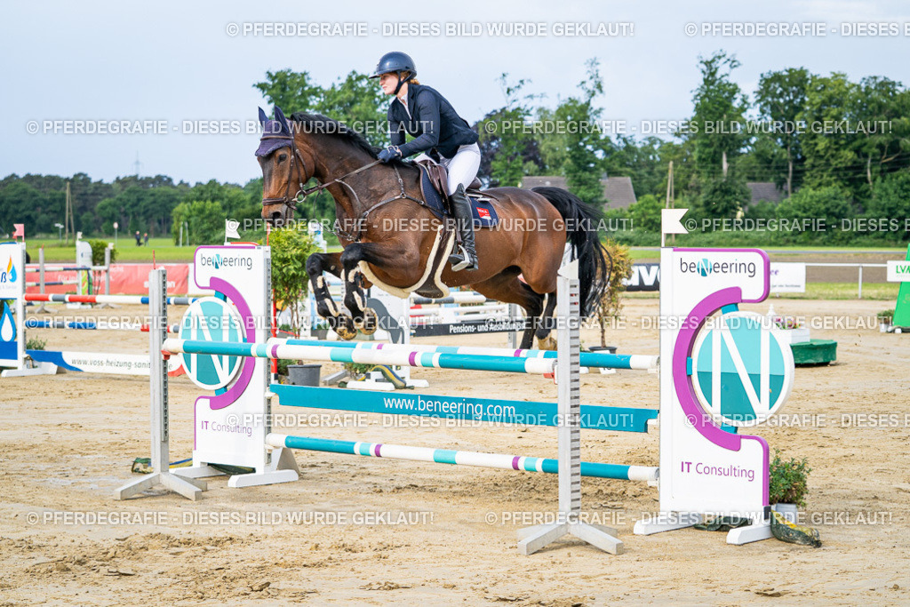 DSC03553 | Pferdegrafie