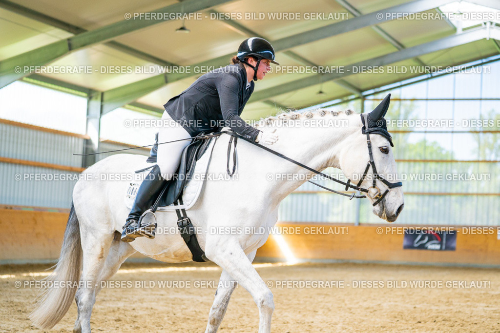 DSC07894 | Pferdegrafie