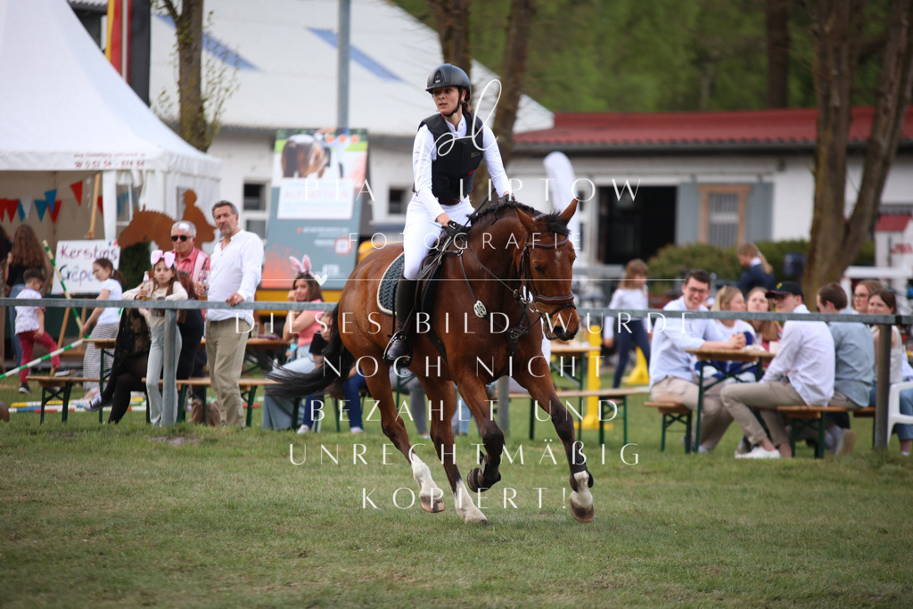 IMGT9524 | pl-fotografie