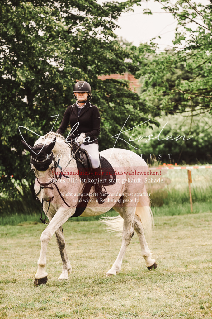 DSC_5193 | Pferde- und Turnierfotografie in Westsachsen. Pferdeportraits, Auftragszeichnungen und intuitive Kunst.