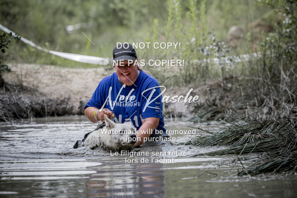 nelerasche_so1100-1145_04 | nelerasche