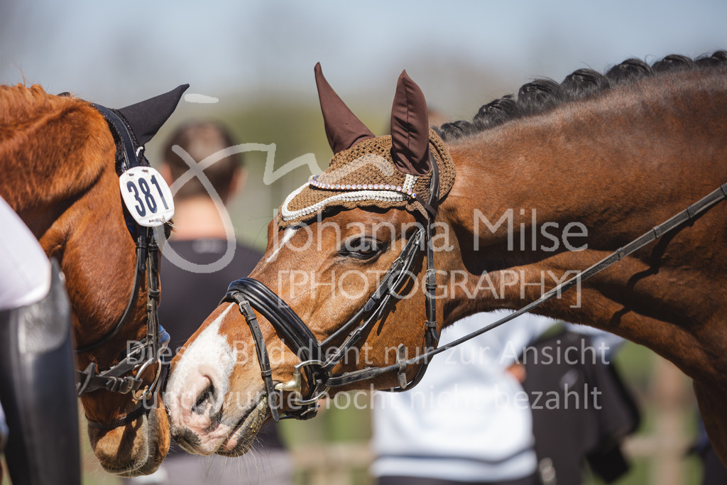 220418_L-Dressur-244 | Frühlingsfest der Pferde
Herford
18.April 2022
Dressurprfg. Kl.L* - Tr. L2ausw. geschlossen