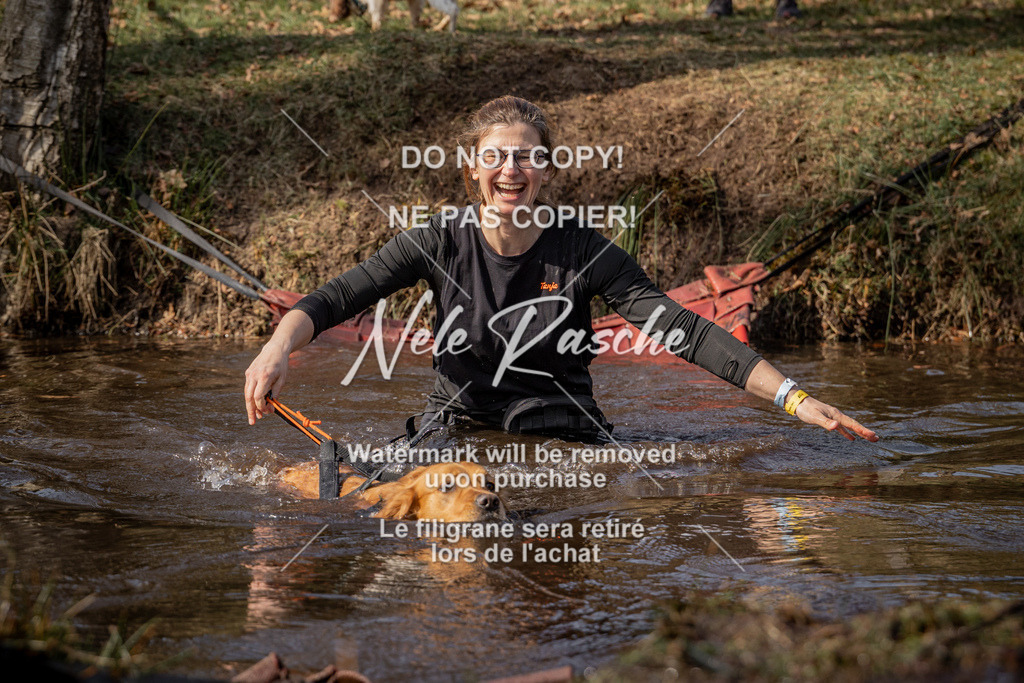 nelerasche_FS1330-1400_261 | nelerasche