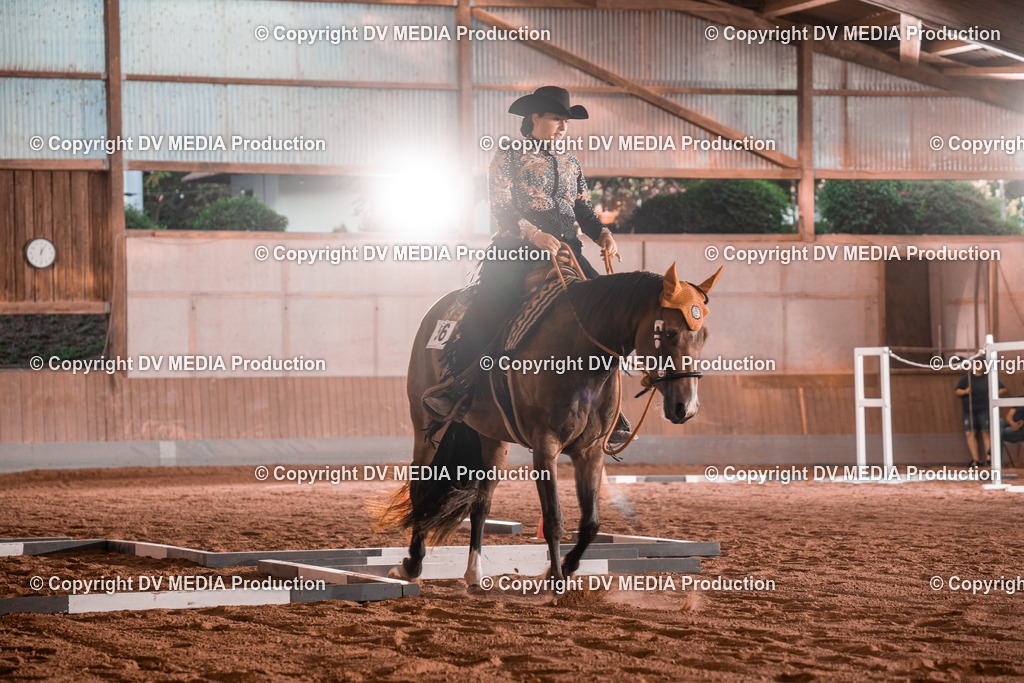 NE300041 | dv-media-shop - Realisiert mit Pictrs.com