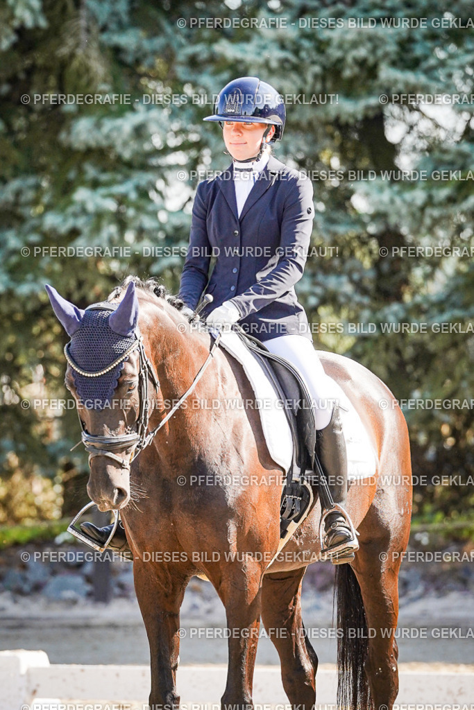 DSC00094 | Pferdegrafie