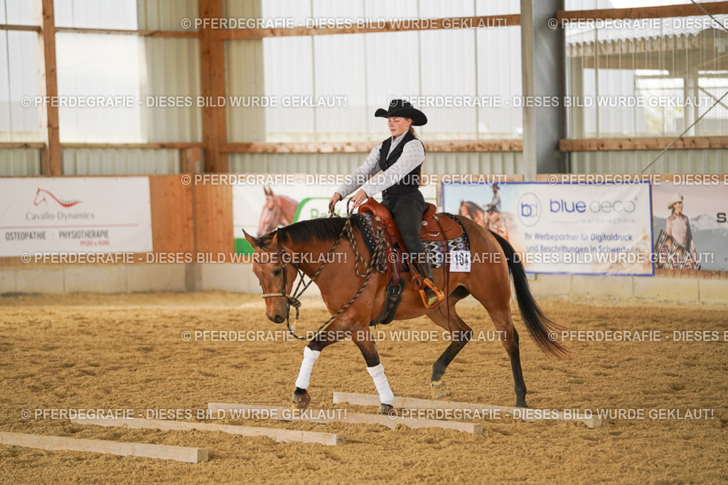 DSC04943 | Pferdegrafie