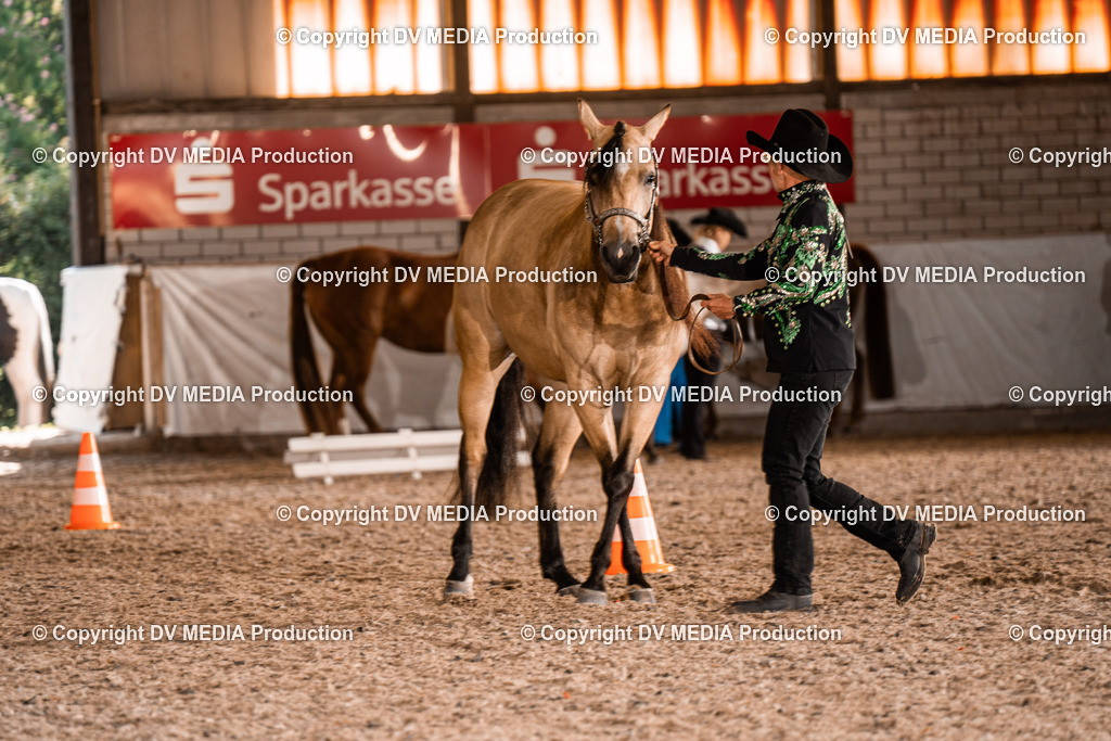 ZH100087 | dv-media-shop - Realisiert mit Pictrs.com