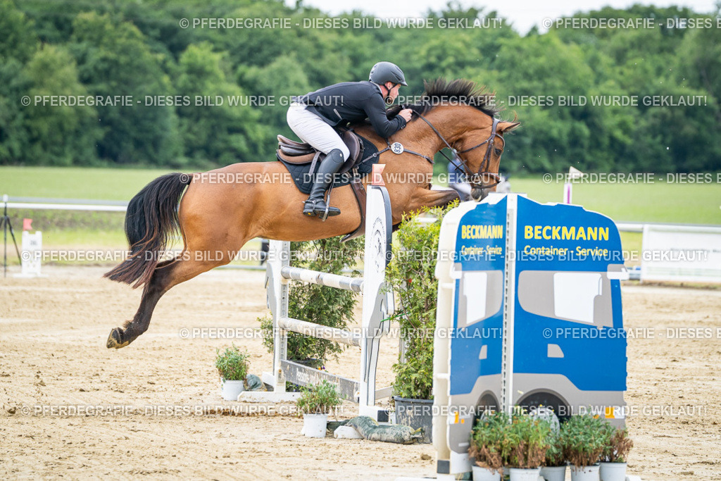 DSC05425 | Pferdegrafie