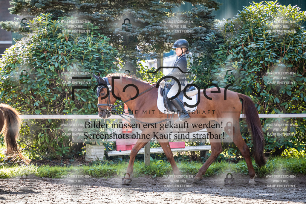 2026-10-Helle-20-4-0004 | Entdecke hochwertige Reitturnierfotos von Foto Oger. Professionell, emotional und authentisch – jetzt Lieblingsmomente im Shop bestellen.Deutschlandweite Turnierfotografie. - Realisiert mit Pictrs.com