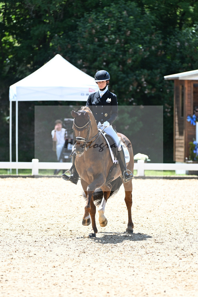 Mueller_Gut Wettlkams Davie FRH_11255048 | hf-fotografie - Realisiert mit Pictrs.com