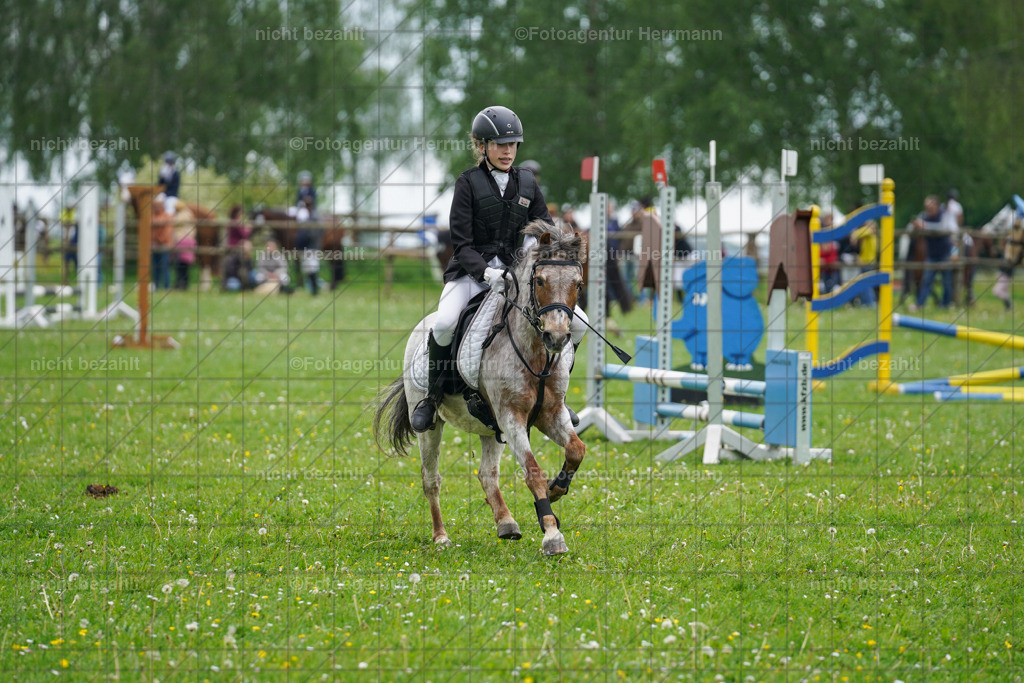 20240509-FAH02386 | Turnierbilder der Turnierfotografen Bayern, Pferdesport Fotografie, Reitsportbilder, Turnier Landberg am Lech, Turnierbilder bayern, Fotoagentur Herrmann