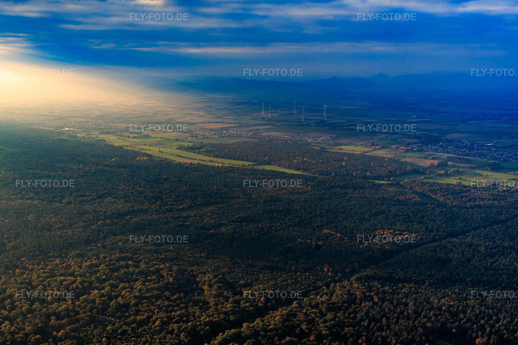 Luftbild: Viehstrich am Bienwald in dramatischer Abendbeleuchtung im Ortsteil Schaidt in Wörth im Bundesland Rheinland-Pfalz in Deutschland. Foto: IMG_150203.jpg vom 11.10.2025 durch Werner Riehm/FLY-FOTO.de