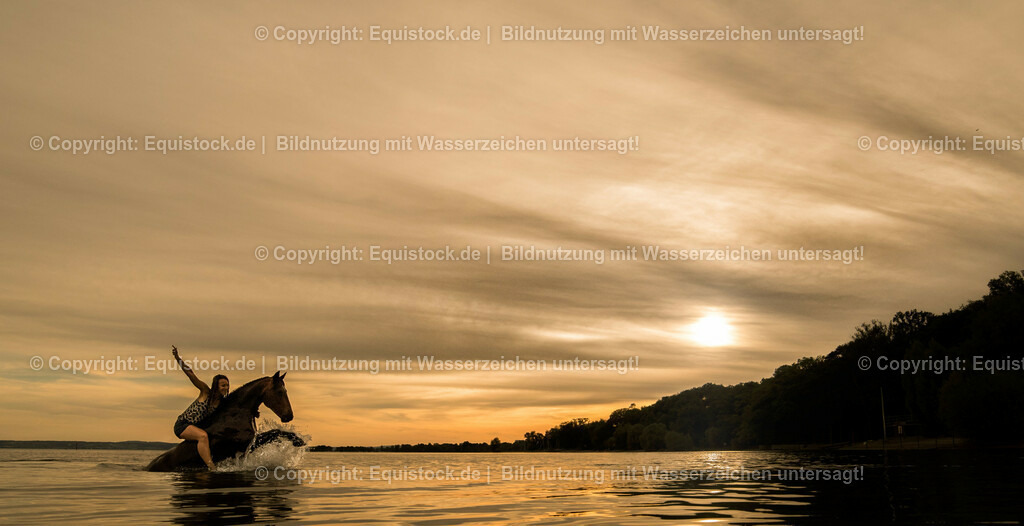 TS_20170616_Pferd_im_Wasser_0010 | Foto: Thomas Hartig