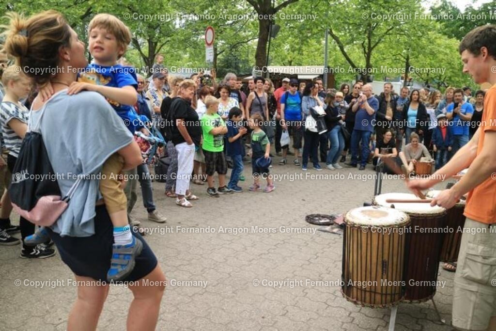 IMG_5055 | aragon-pics - Realisiert mit Pictrs.com