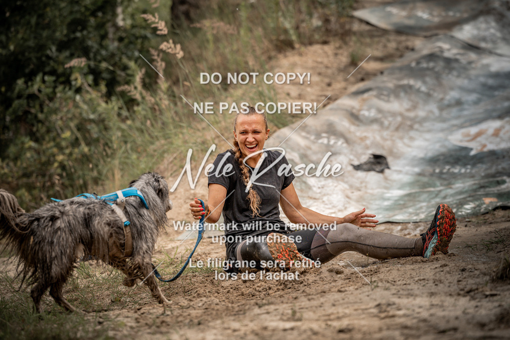 nelerasche_sa0800-1000_121 | nelerasche
