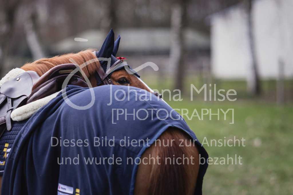 240316_Borgholzhausen_Impressionen-609 | Deine schönsten Turniermomente als professionelle Fotos! Entdecke hochwertige Pferdesport-Fotografie im Online-Shop. Jetzt Fotos finden & bestellen!