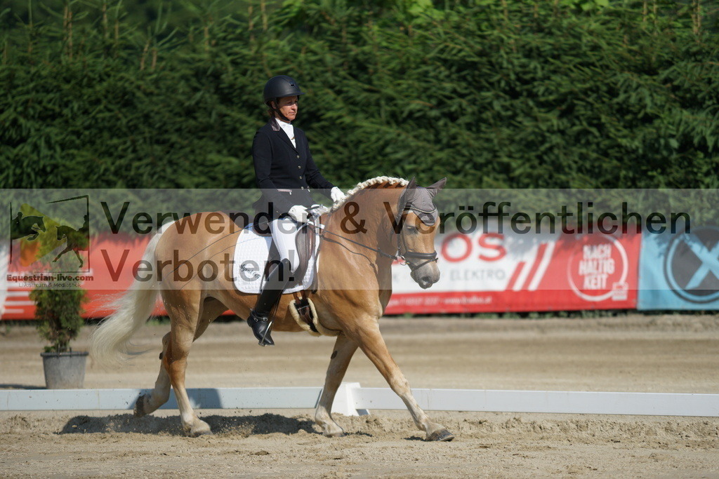 DSC01348 | equestrian-live-com