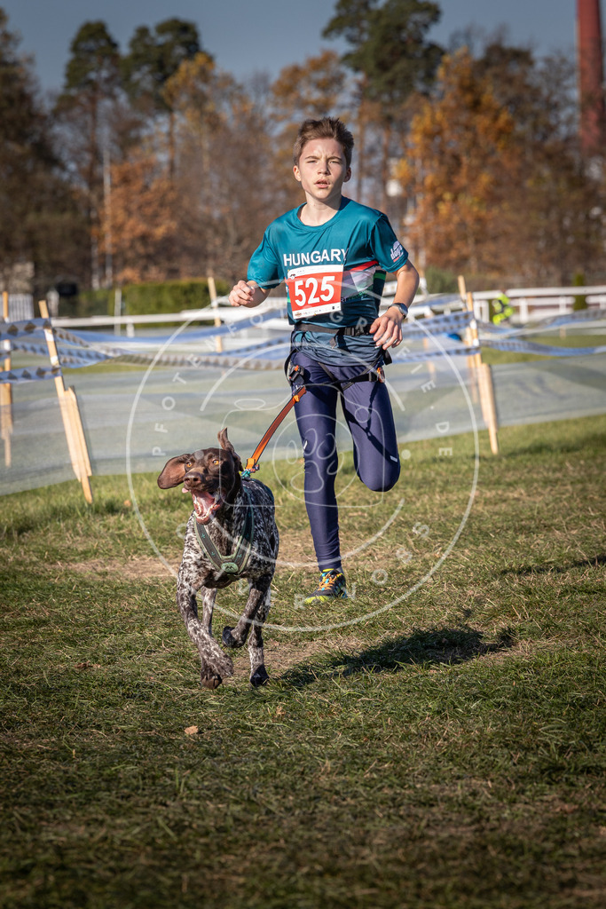 CaniXpix_0L8A7262 | Hundefotografie, Tierfotograf, Pfotenfotografie, Fotoshooting Hund, Hunde Portrait, Hundesport, Hundeportraits, Heideshooting, Hunde, Sportfotograf, Hundefotograf, Turnierhundsport, THS,  - Realisiert mit Pictrs.com