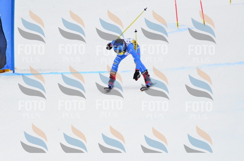 _ELE3861 | holidayphoto